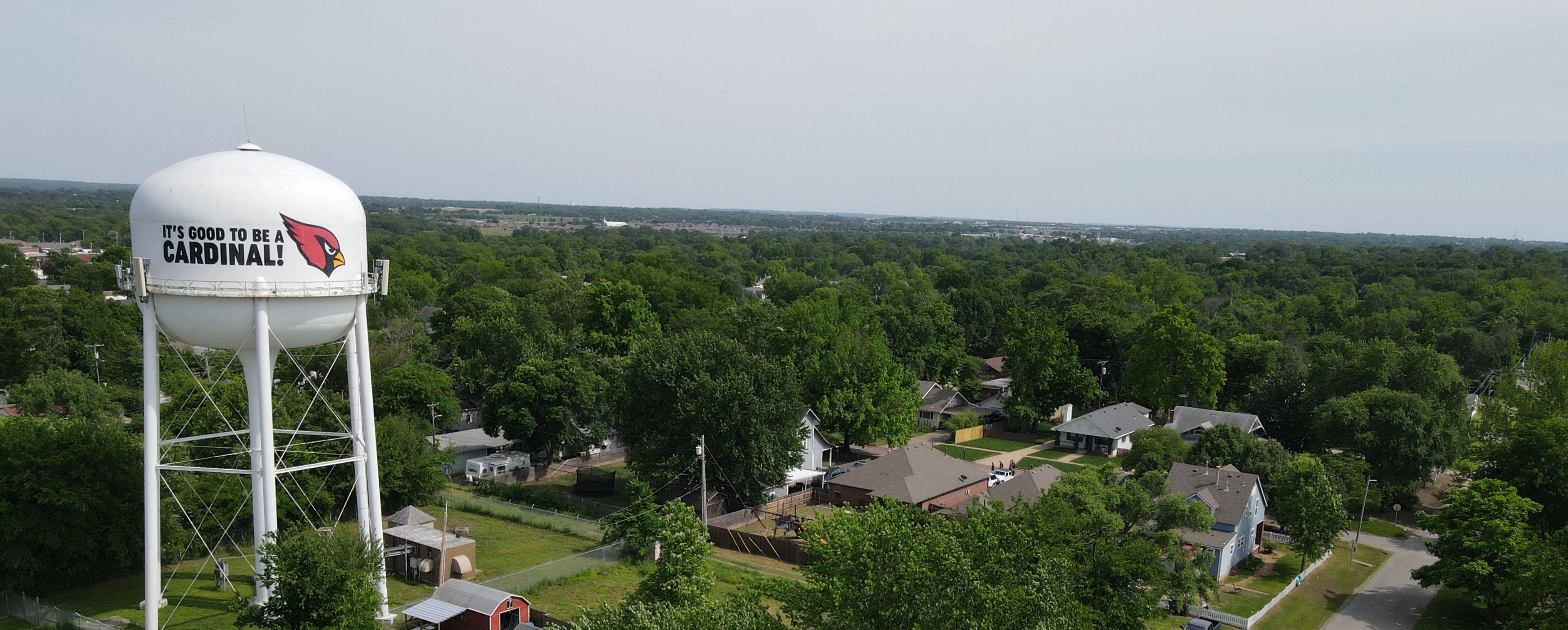 Collinsville water tower — It's Good To Be A Cardinal!